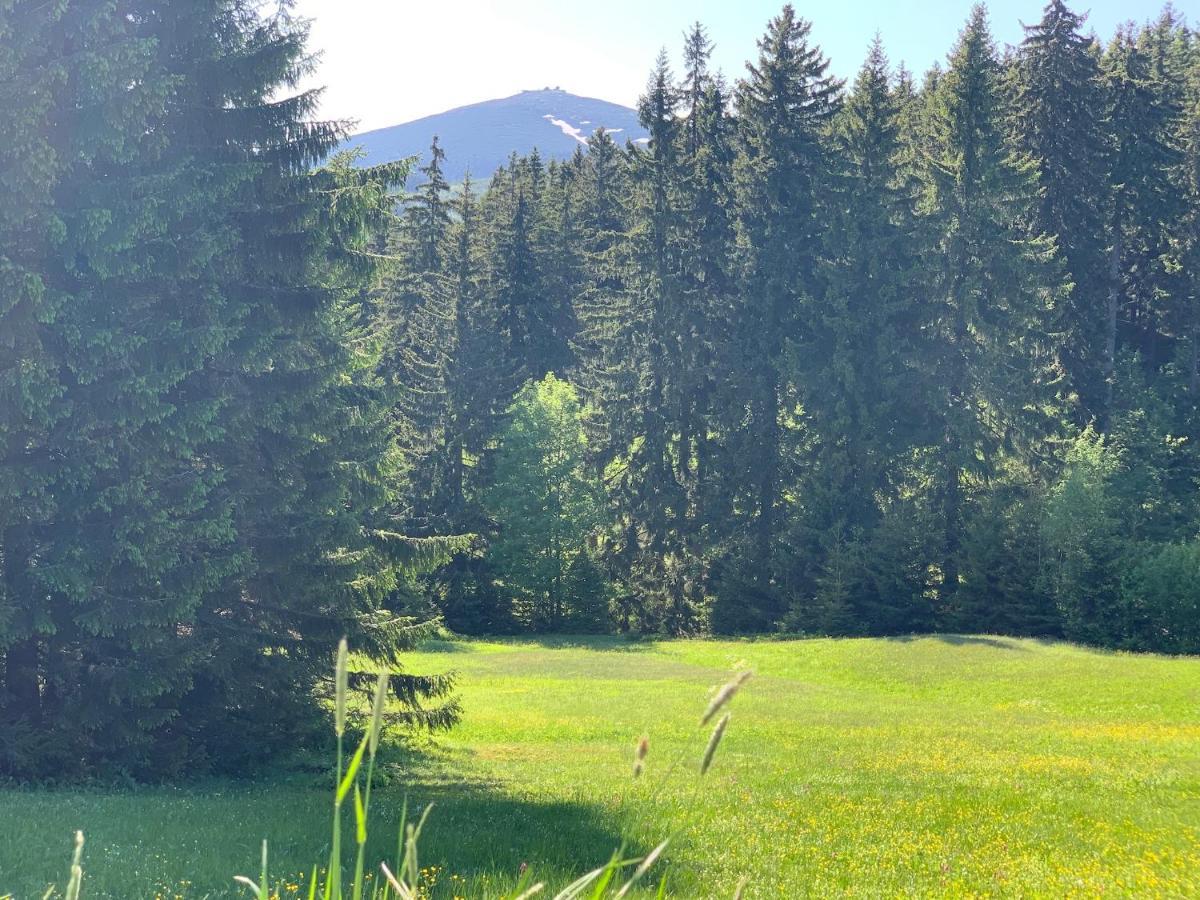 Apartment Barborka, 8 *